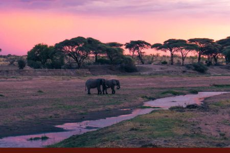 MIKUMI/RUAHA/UDZUNGWA